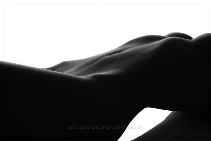 Studio Silver Shadow